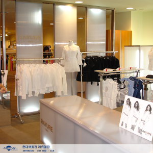 Hyundae_DPM_Rayure_02